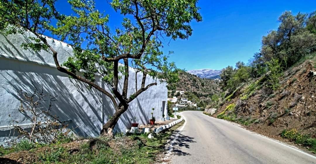 Finca El Almendro Árchez المظهر الخارجي الصورة
