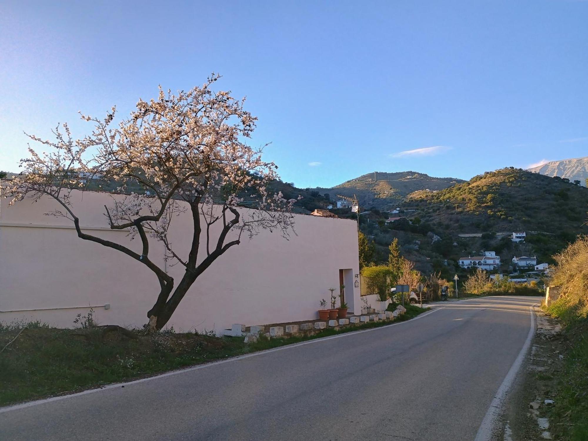 Finca El Almendro Árchez المظهر الخارجي الصورة